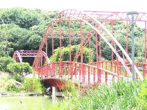 南山文化生态园一期项目-钢箱梁桥管桁架